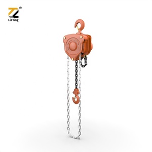 高品质低价格日本HSZ-a型高径向载荷链块，带更强的吊钩，用于提升 - Product Image 4