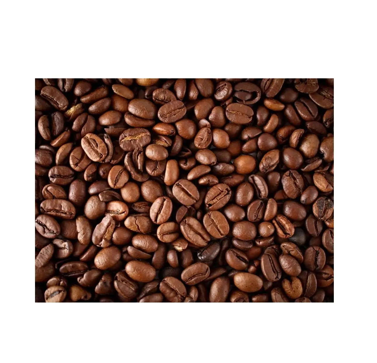 Granos de café arábiga, café arábigo de calidad, proceso lavado de Brasil, granos de café verdes, granos de café crudo, venta al por mayor