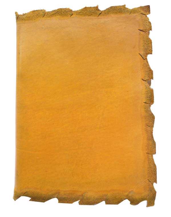 สีเหลือง