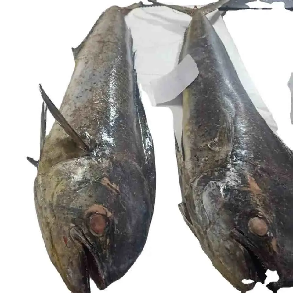Melhor preço Exportador A Granel de Melhor Qualidade Barramundi Fish Frozen Fillet Supply