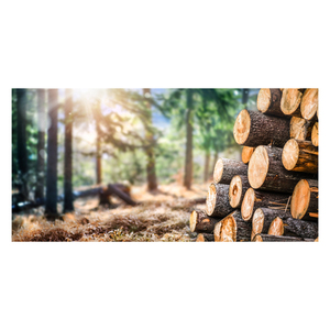 Top Grade Dry Round <strong>Teak</strong> Logs Durable Natural <strong>Teak</strong> Wood Timber Best Price Bulk Quality Sale Complementary Pine and Oak Types - Product Image 5