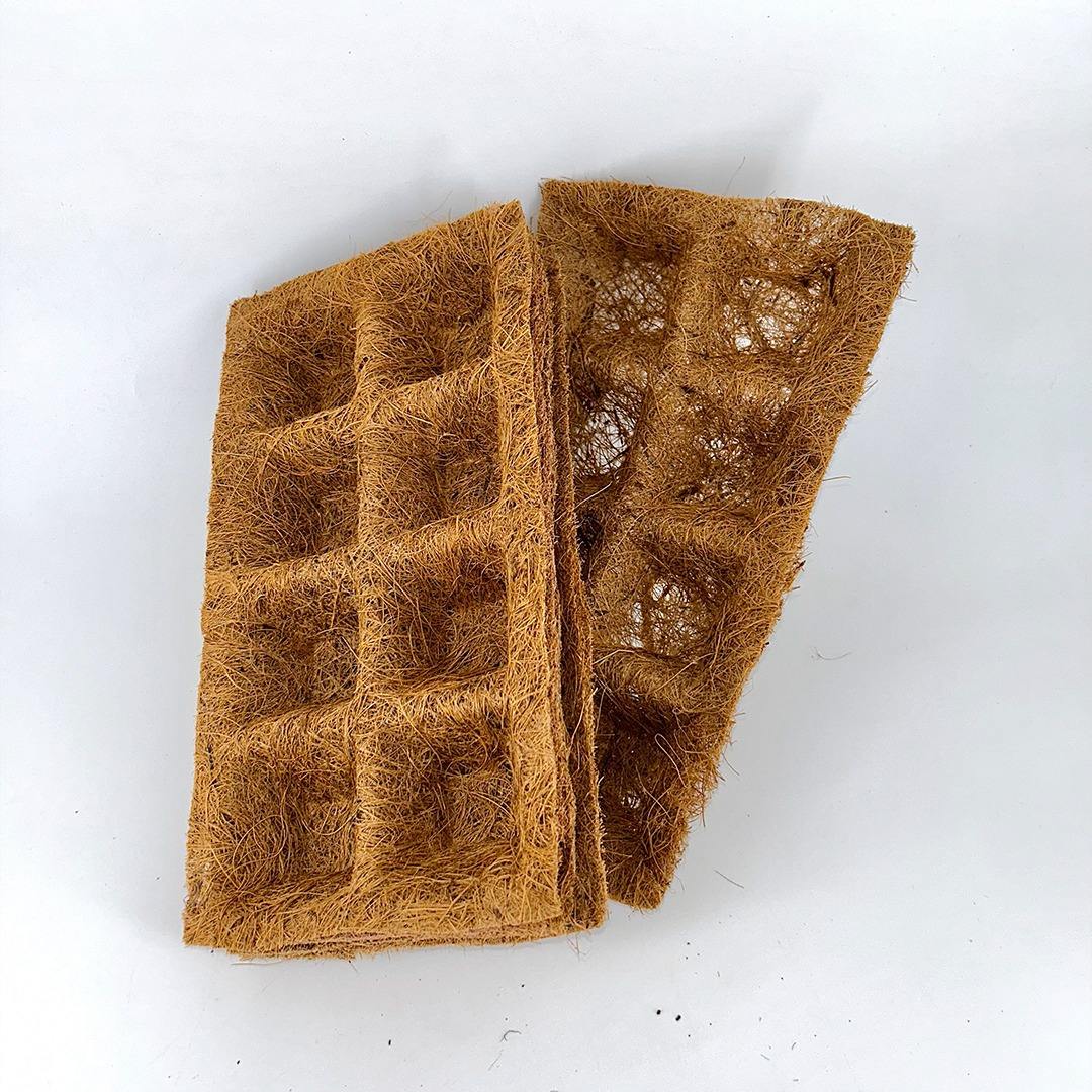 ธรรมชาติ