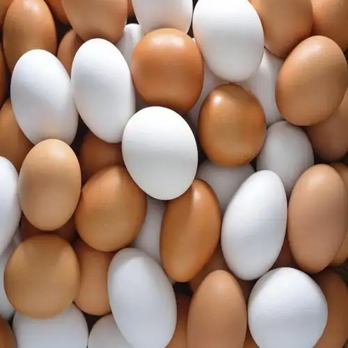 Huevos de gallina de mesa marrón fresca de la mejor calidad a precio barato, envío mundial disponible