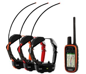 TT15 COMBO köpekler GPS yaka ile orijinal yepyeni alfa 100 - Product Image 2