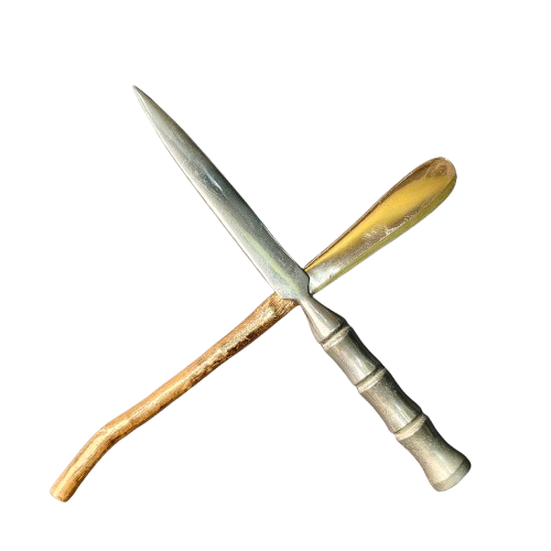 การแสดงภาพ