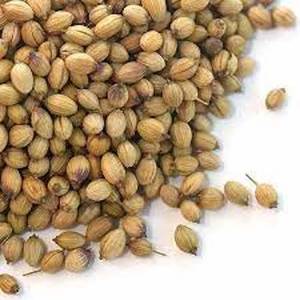 Uygun fiyatlarla satılık yüksek kalite kişniş tohumları toplu olarak satın - Product Image 4