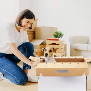 Küçük hayvanlar için karton Pet taşıyıcılar kedi Hamster gine domuz tavşan kuş posta gönderim kutusu köpek - Product Image 2