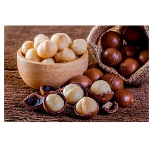 Nozes de macadâmia orgânicas de alta qualidade com casca Nozes a granel Nozes de macadâmia preço de atacado