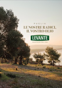 <span class=keywords><strong>D</strong></span>ầu ô liu nguyên chất p.<span class=keywords><strong>d</strong></span>.<span class=keywords><strong>o</strong></span>.-"Terra di Bari - Castel Del Monte" chiết <span class=keywords><strong>l</strong></span>ạnh 500 ml E - Product Image 3