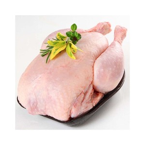 Frozen whole <strong>chicken</strong> for international markets with long shelf life and secure packaging - Product Image 4