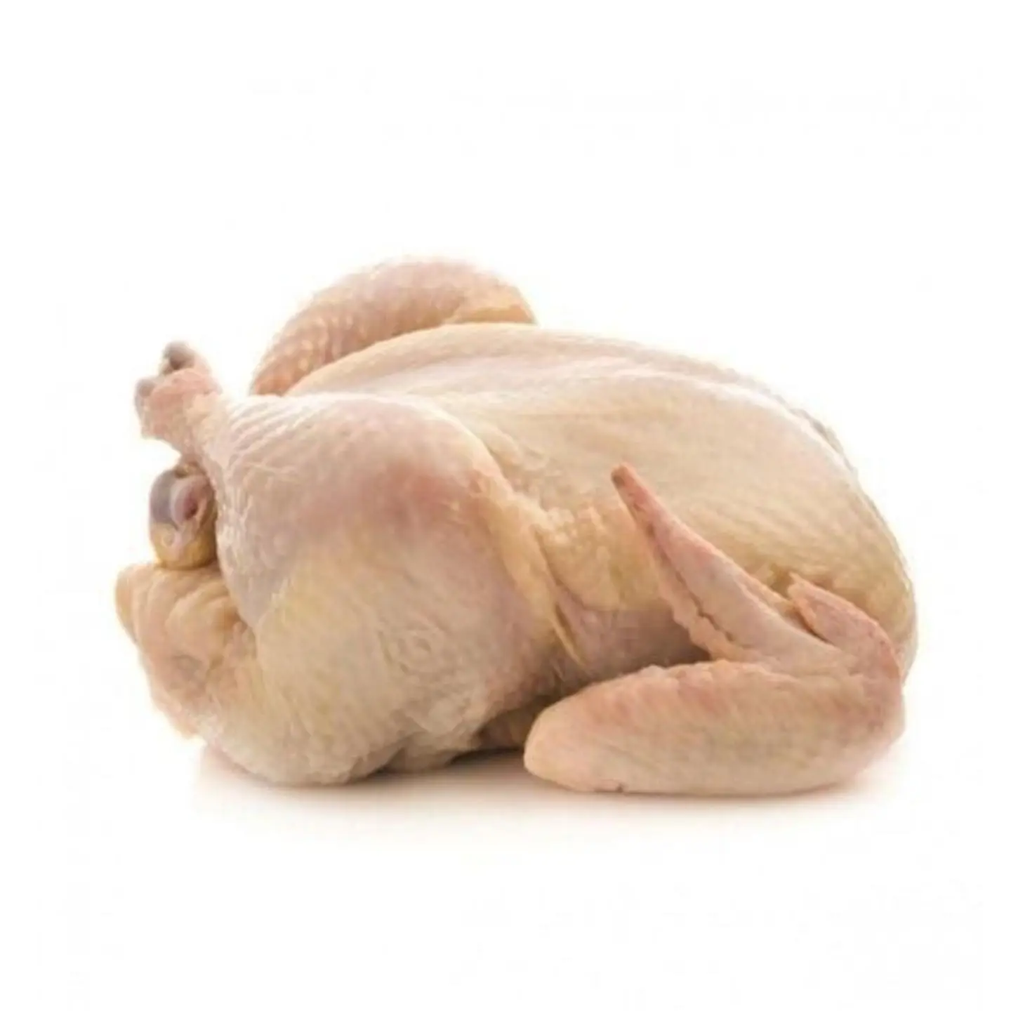 Vente en gros de poulets congelés, poulet entier congelé à bas prix