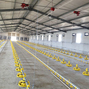 Broiler tavuk evi kanatlı çiftlik çiftlik evi poulailler Gallinero kanatlı ev için 10000 tavuklar - Product Image 1