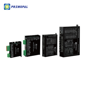 Primopal di alta qualità 3 assi ac DC24-48 30A 5-750W servomotore DC a bassa tensione servomotore programma controller