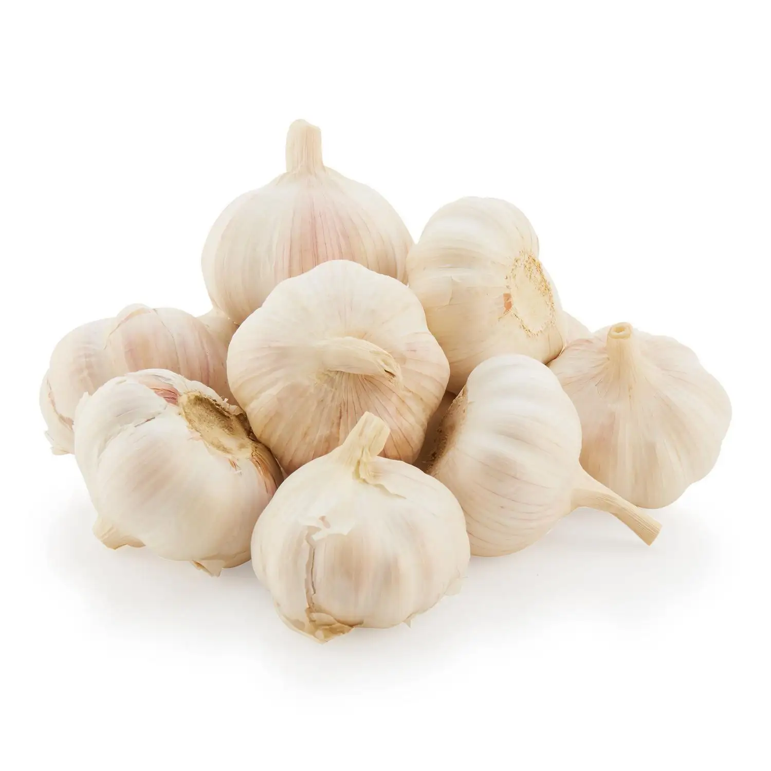 Buy wholesale fresh garlic high quality garlic available for sale