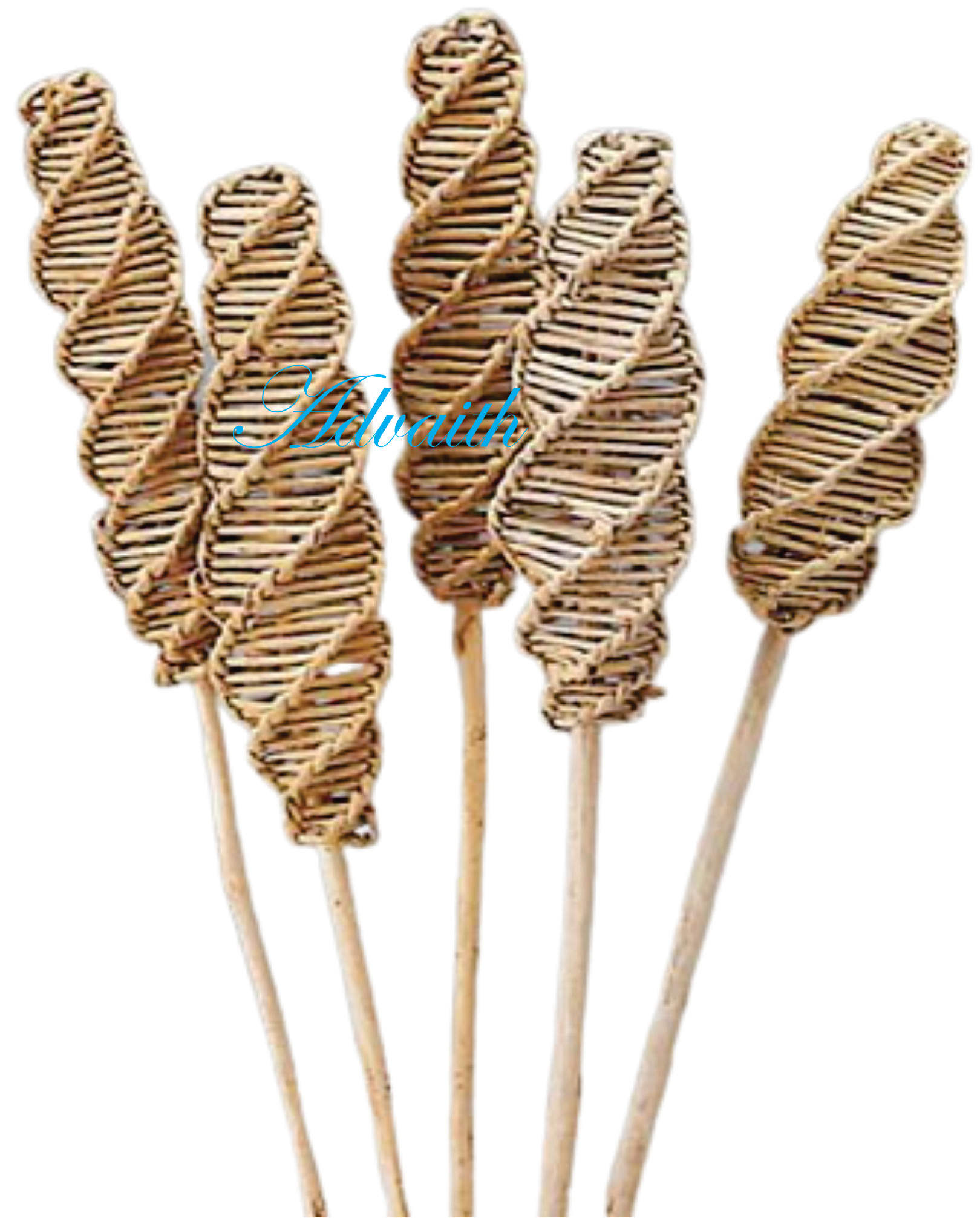 ธรรมชาติ