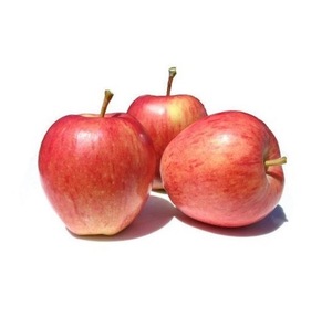 Sweet Fresh Royal Gala <strong>apple</strong> Fresh Fuji and Red Star <strong>Apples</strong> and Other Fresh Fruits at Wholesale Price in Bulk for <strong>Export</strong> - Product Image 1