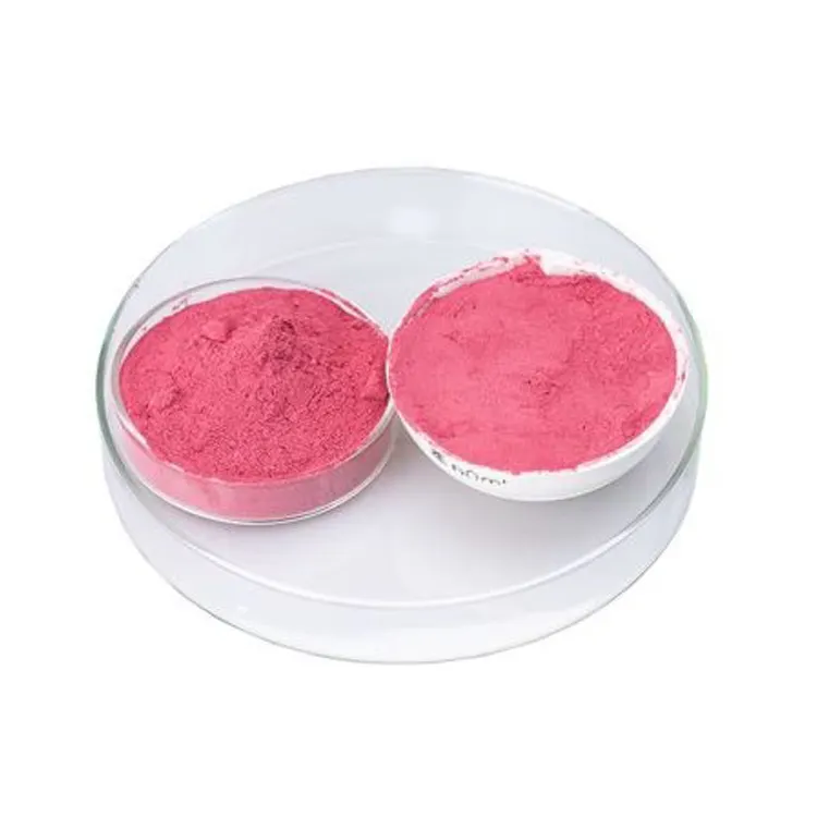 Großhandel hervorragende Qualität 100 % reine rosa Farbe Wachsbeere Kraut-Extrakt-Pulver vom besten indischen Verkäufer
