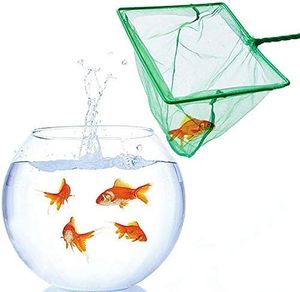 <span class=keywords><strong>Aquarium</strong></span> Visnetten 4 Inch Kleine Mesh Vis Vangst Netten Duurzaam Plastic Handvat Grenen Groene Kleur Veilige Tropische Vis Garnalen Betta - Product Image 6