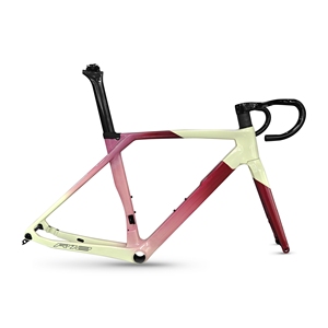 Dylon T800 sợi <span class=keywords><strong>carbon</strong></span> đường xe đạp khung OEM siêu nhẹ đua đường xe đạp ĐĨA PHANH - Product Image 2