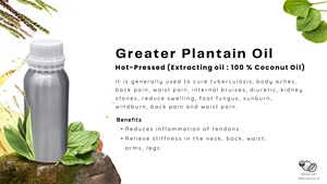 Greater Plantain <strong>Oil</strong> 5000ml (Premium Grade) Hot-Pressed Natural Local Plant From Thailand Factory Supply - Product Image 2