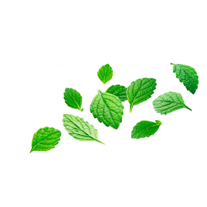 <strong>MELISSA</strong> HYDROSOL 100% Pure Essential <strong>Oil</strong> Organic Fresh Bulk Quantity Premium Leaves Indian Manufacturer Kanha Nature <strong>Oils</strong> OEM - Product Image 6