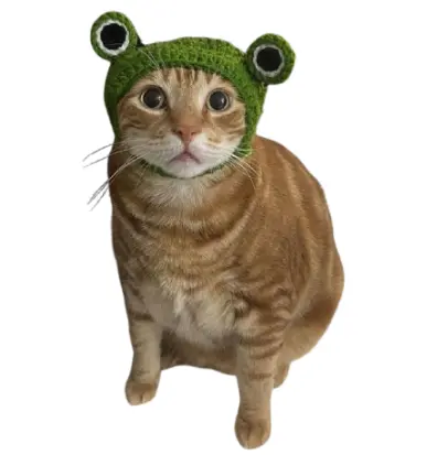Vente en gros d'accessoires vestimentaires vétérinaires, chapeaux grenouille verte extrêmement mignons pour chats nouveau design de 4W Viet Nam