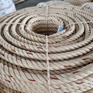 <strong>PP</strong> and <strong>PE</strong> Material <strong>pp</strong> Rope Wholesale UV Protected Polypropylene Twisted Rope 10mm 3-4 Strands Danline <strong>PP</strong> Rope Made in Vietnam