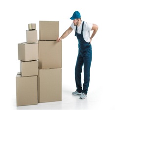 Back <strong>Support</strong> for who Lift Heavy Objects or who Sit for Long Periods of Work - Product Image 2