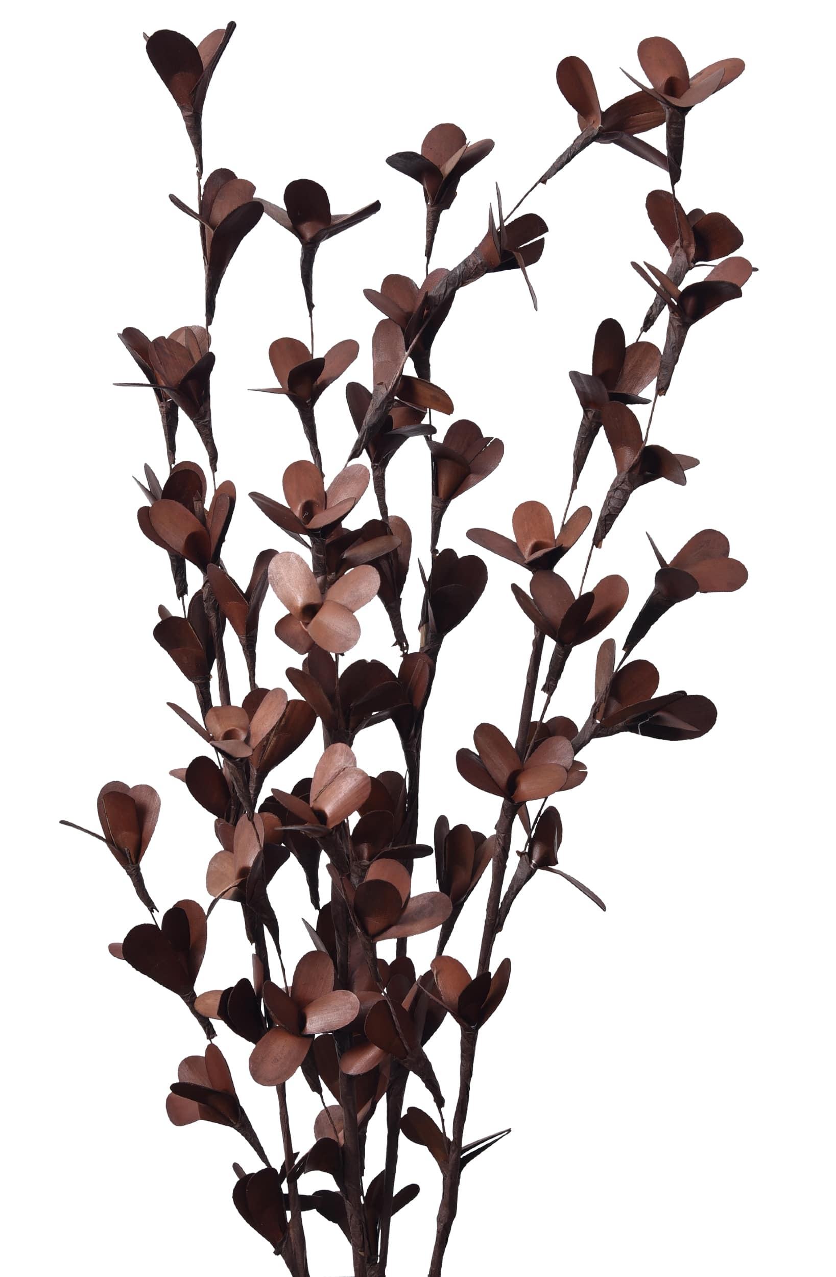 สีน้ำตาล