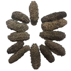 乾燥ナマコ乾燥ナマコ - Product Image 4