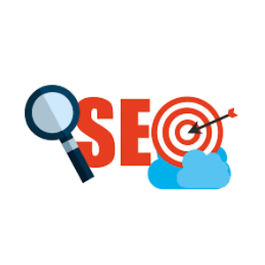 Expertise Advanced SEO Pro <strong>Key</strong> Included Complete Evaluation Optimization for Mac Linux for DOS Operating Systems Internet Stock - Product Image 4