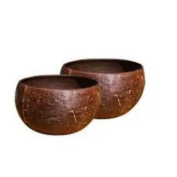 Natural coconut shell bowl can be customized size coconut bowl / Natural Coconut Shell Bowls