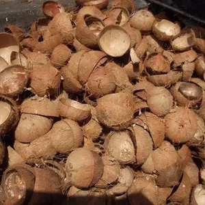 Guscio di cocco crudo in vendita