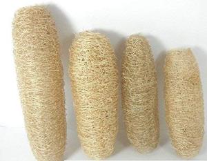 Güvenli ve biyobozunur lif kabağı sünger/banyo veya sabun veya vücut yıkama ile duş kullanılabilir. - Product Image 5