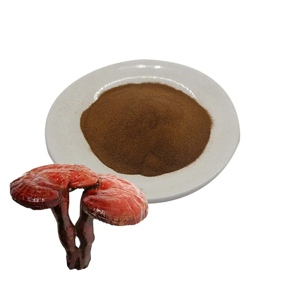 Polvo de esporas de hongo Reishi orgánico de grado alimenticio con pared celular agrietada 98%