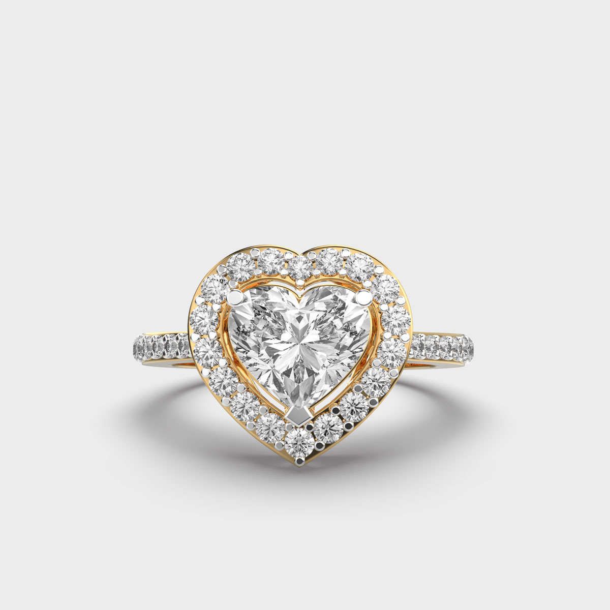 14K oro amarillo