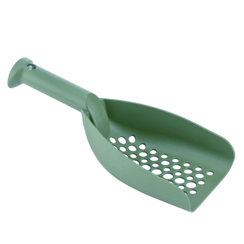 สีเขียว