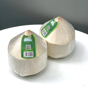 Hochwertige frische Kokosnüsse aus Vietnam White Tropical Shell Design mit Diamant schliff Coconut Clear Origin