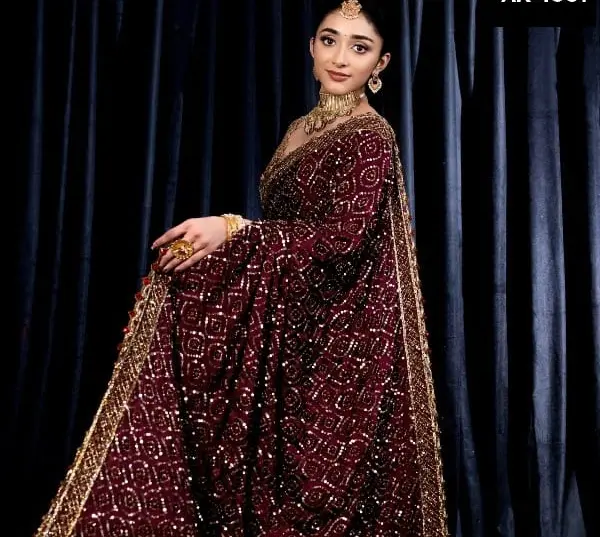 Ricamo pesante e lavoro di sequenza sari in stile indiano e pakistano per donna sari di alta qualità in stile Bollywood a basso prezzo