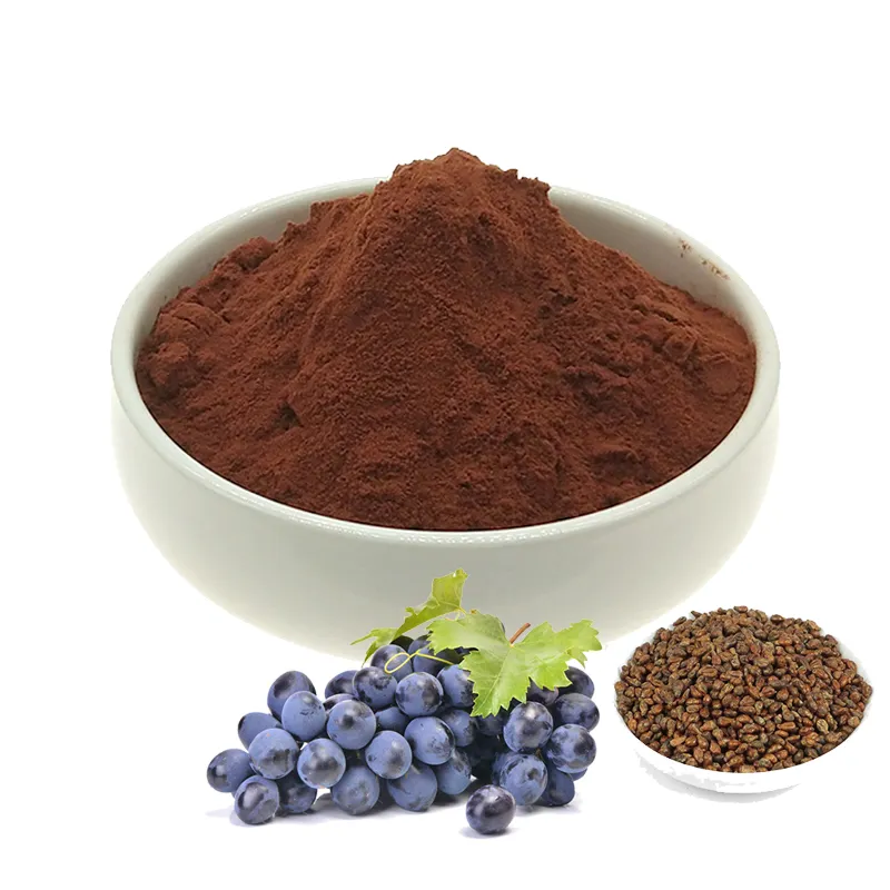 El fabricante ofrece Extracto de semilla de uva natural de grado alimenticio al por mayor con 95% OPC proantocianidina