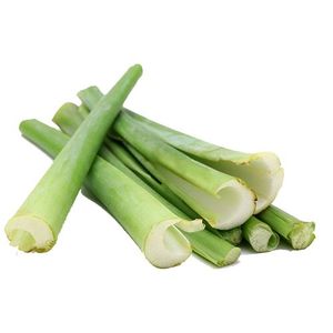 可出售的散装库存-批发价格来自越南的新鲜蔬菜