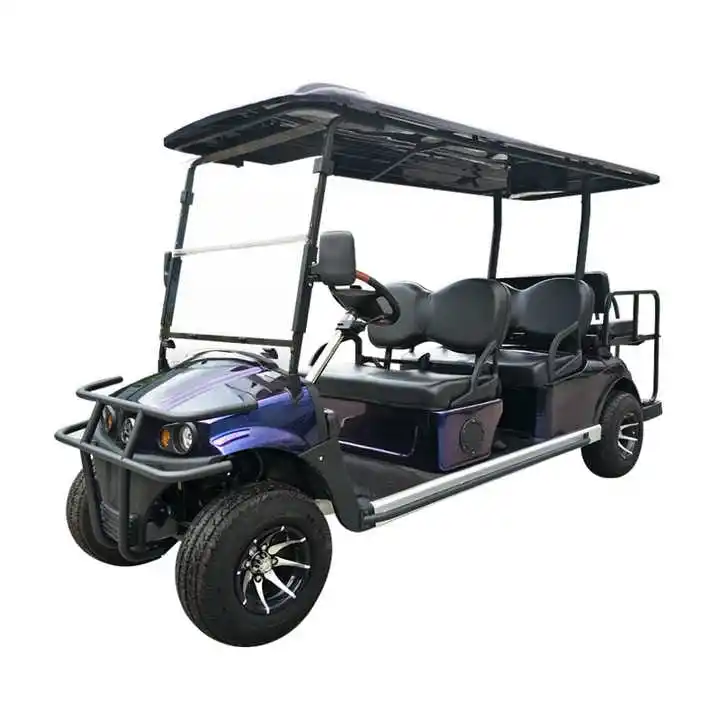 2023 newest hot sale cheap 2 seats gas powered golf /buggy carts price