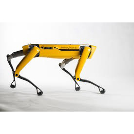 Tesla ilham verici robotik köpek siberpet - Product Image 2