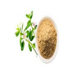 สารสกัดจากธรรมชาติ Bacopa monniera 20% สำหรับอาหารเสริม