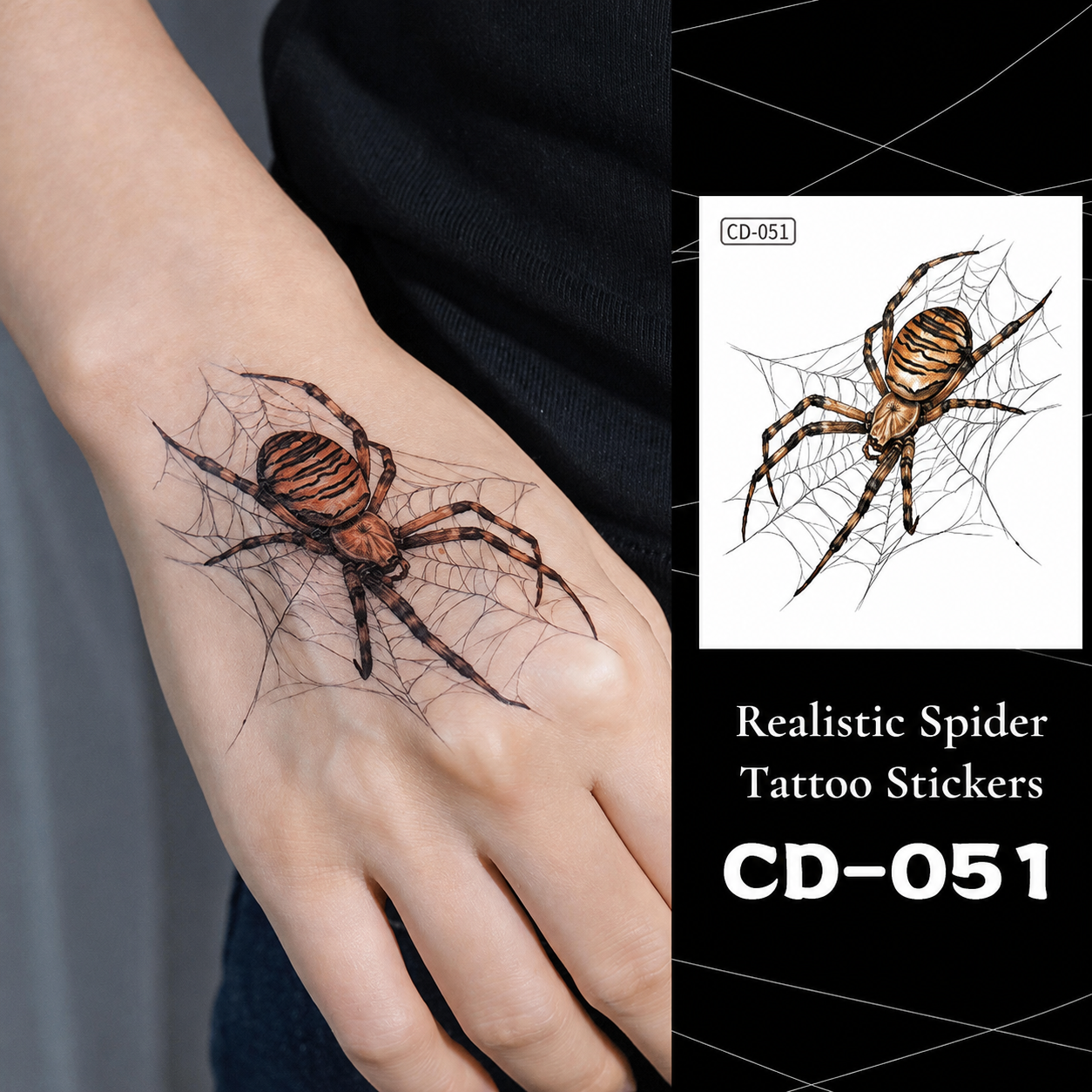 CD-051-Orange Garden Spider on Web