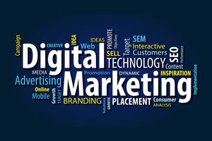 Website Design Marketing B2B e-commerce Website Development Wordpress Web Design Marketplace Website Builder e-commerce - Product Image 4