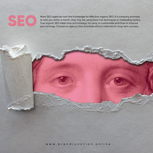 Optimierte SEO Services Website-Design-Entwicklung Digitales Marketing Linux DOS-Betriebs system Unterstützter Schlüssel inklusive Mac Server
