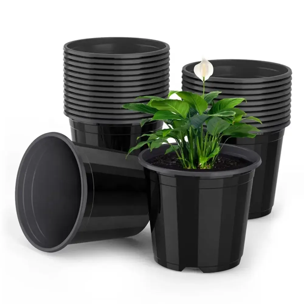 Vasi bonsai per la lavorazione di prezzi competitivi all'ingrosso con un buon prezzo/articoli per la casa/produttore di piante In vaso In Vietnam