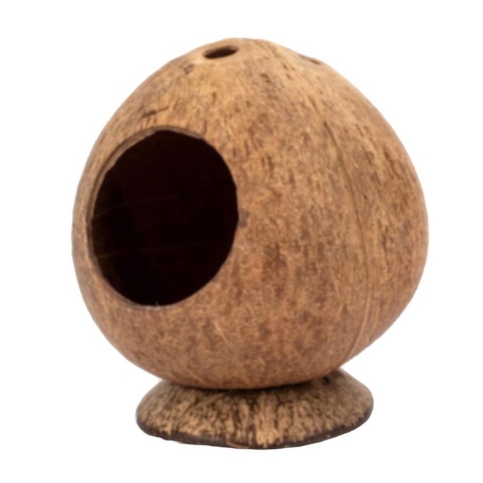 ธรรมชาติ