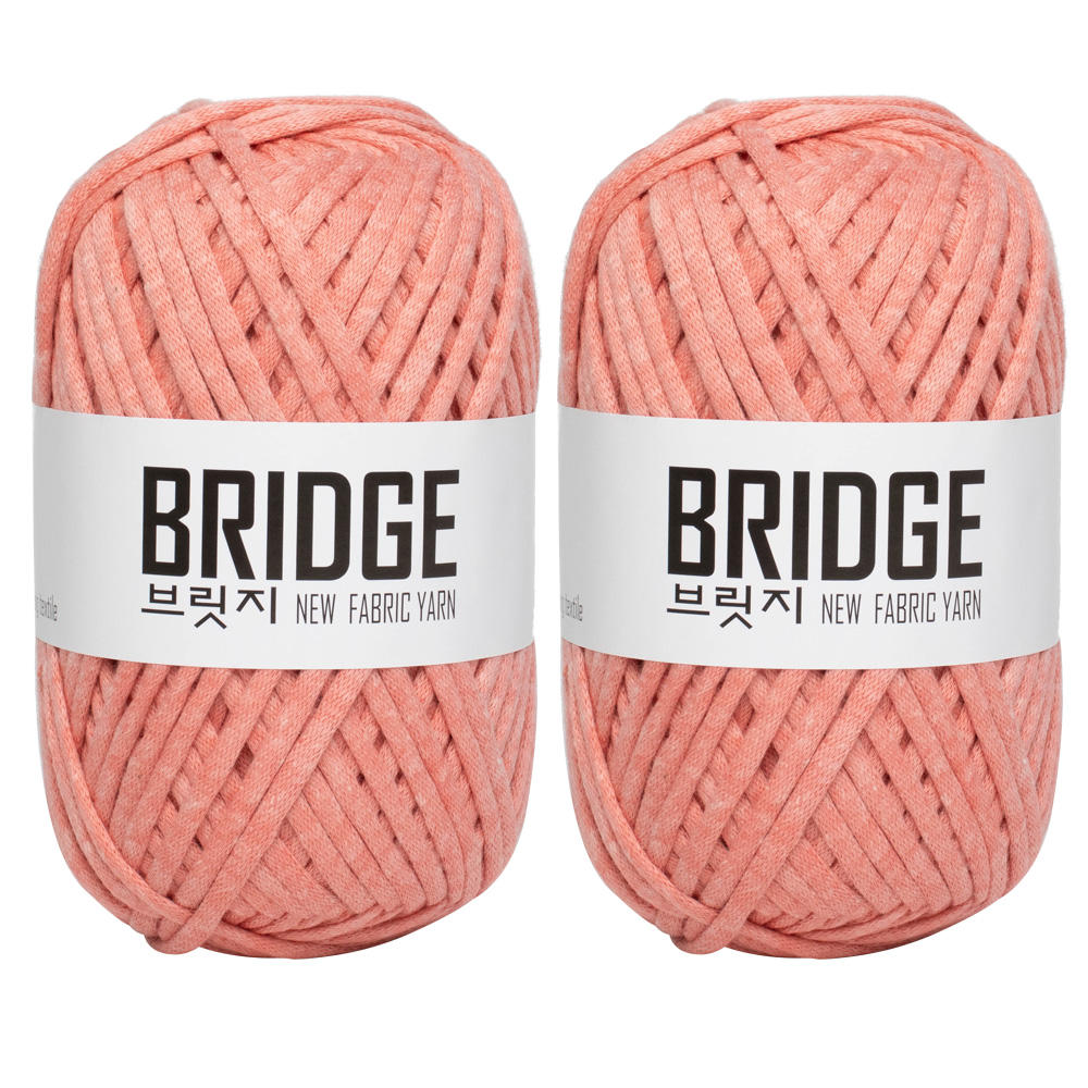 แซลมอน206